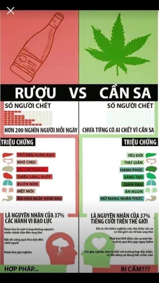 DÀNH CHO NHỮNG NGƯỜI ĐANG HIỂU SAI VỀ CÂY CẦN SA.

Cần sa không gây nghiện nhưng rượu thì có

Cần sa chữa được rất nhiều bệnh nhưng rượu sẽ phá hủy toàn bộ gan và tàn phá hệ thần kinh của bạn

Cần sa giúp cai nghiện rượu, thuốc phiện, còn rượu không