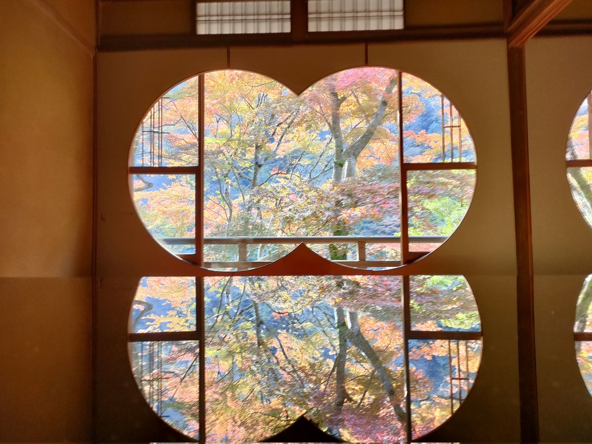 Aines1216's tweet photo. 弾丸京都神社仏閣めぐり
嵐山 祐斎亭
午前の部終了 https://t.co/UNunH2qtdO