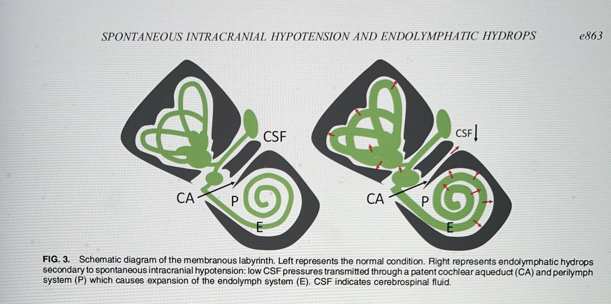 Lorenzo Pinelli tweet media