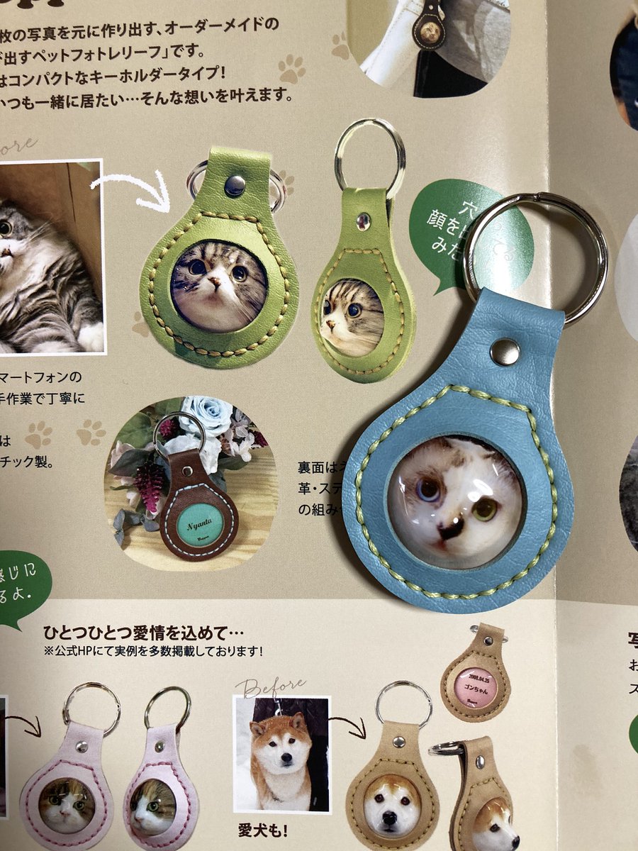 shokotarow's tweet photo. 我が家の猫🐈ちゃんの写真から作成いただきました。
色選ぶのに悩む時間も楽しかったです。
立体キーホルダー
#ぽぺっと作りました
#りんご猫 https://t.co/cv5HHvQBbE