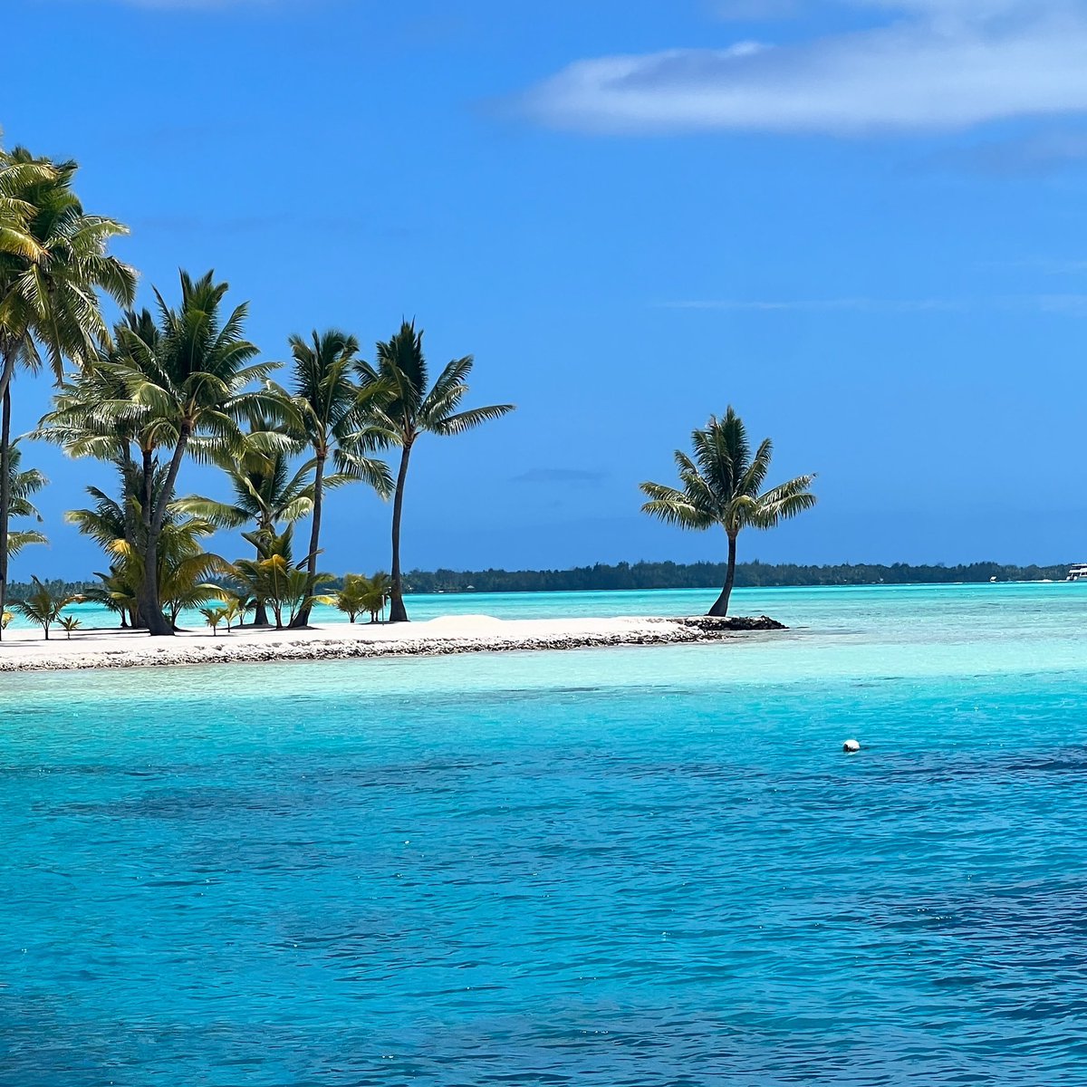 BetterChoiceLaw's tweet photo. #Digitalnomad ing around the #Polynesian #Islands 
Highly recommended https://t.co/siURTePmwr