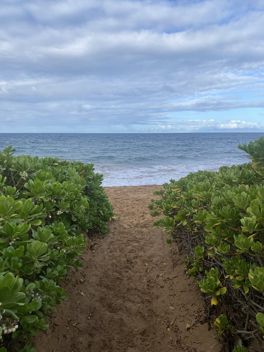 🐻back in LA! Amazing trip for the girls and the program!