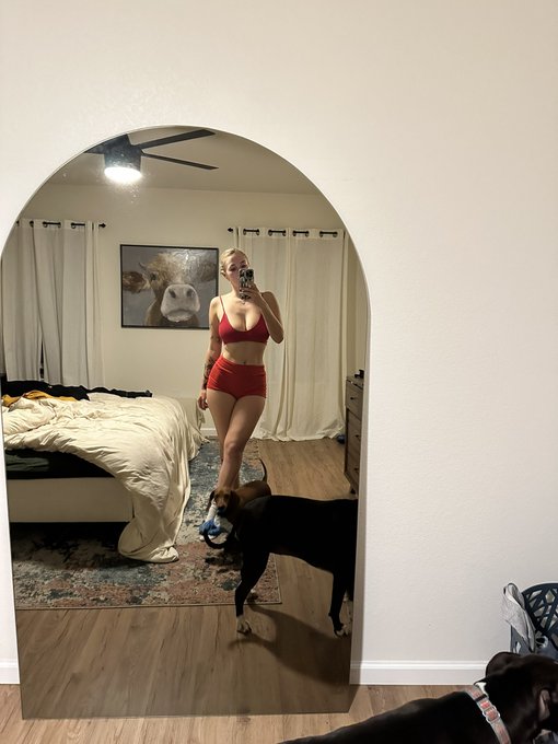 1 pic. Dog sitting https://t.co/s7fAof1owb