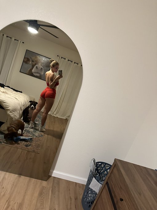 2 pic. Dog sitting https://t.co/s7fAof1owb