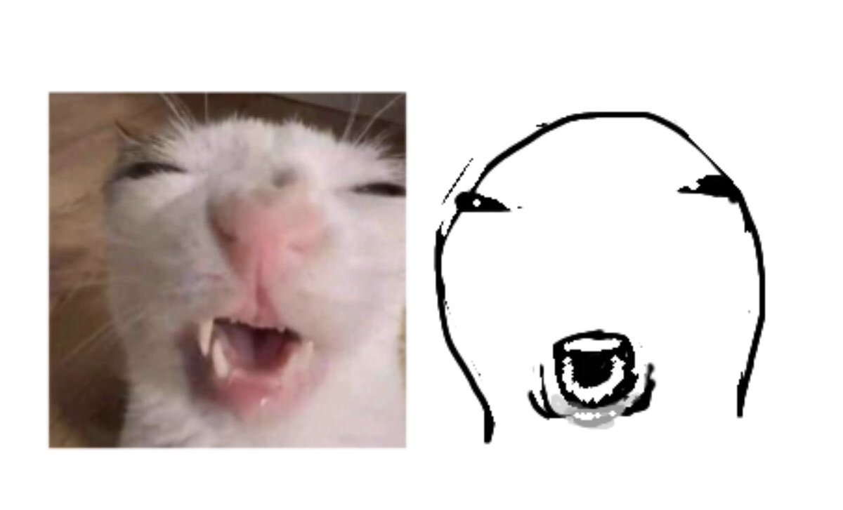 So my friend sent this photo of this cat while I was falling asleep and my eyes started to blur and all I could see while looking at that photo was this horrible fucking thing I drew