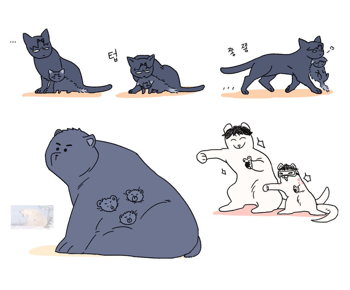 성남매 쪼형제 다긍이네