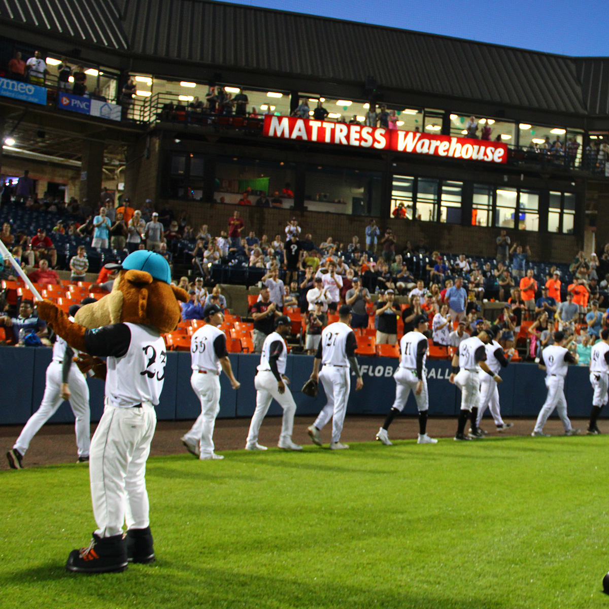 Spire City Ghost Hounds tweet media