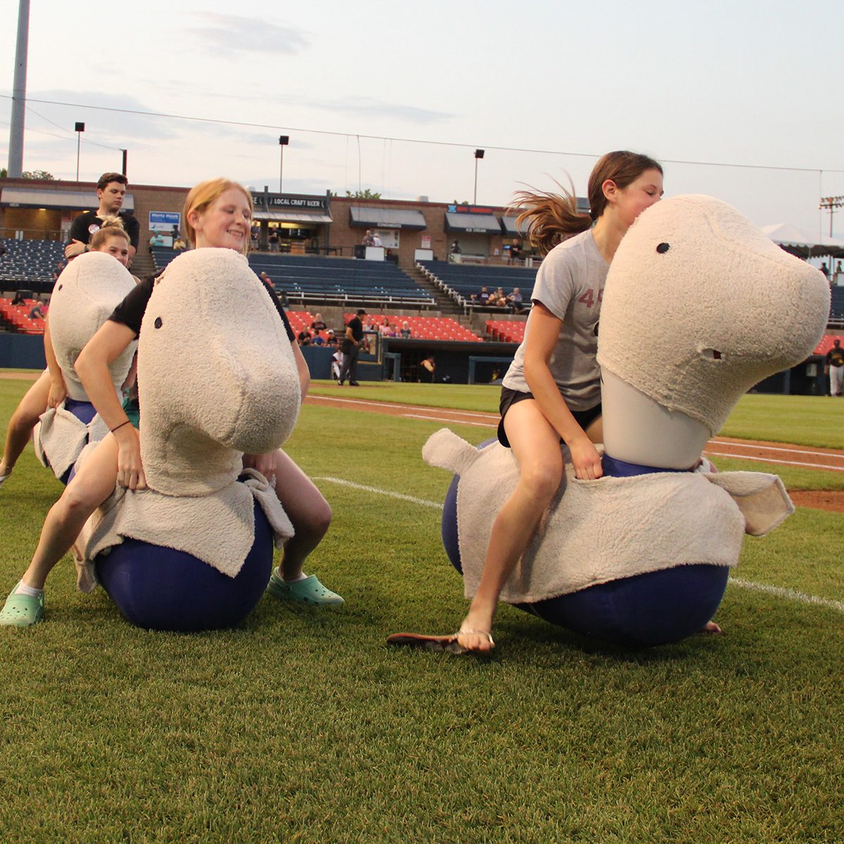 Spire City Ghost Hounds tweet media