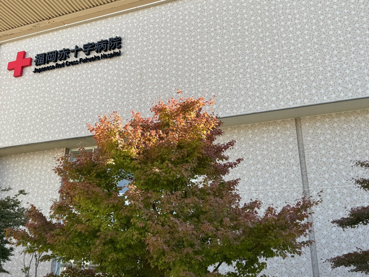 診察で、病院に来るのも辛い🥲
#福岡日赤病院 
#iPhone