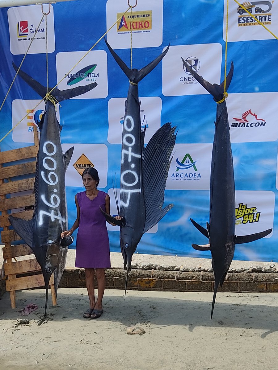 MachorroGina's tweet photo. #IndigenousPeoples #visit #PuertoEscondido some times is #first time at #Lapalaya #Chatina w #winners #fishingtournament in #PuertoEscondido #FiestasdeNoviembre 2023 #WomanLifeFreedom #food to #share Next #surfing #tournament w @MachorroGina #Travel https://t.co/58ohBRR75Z