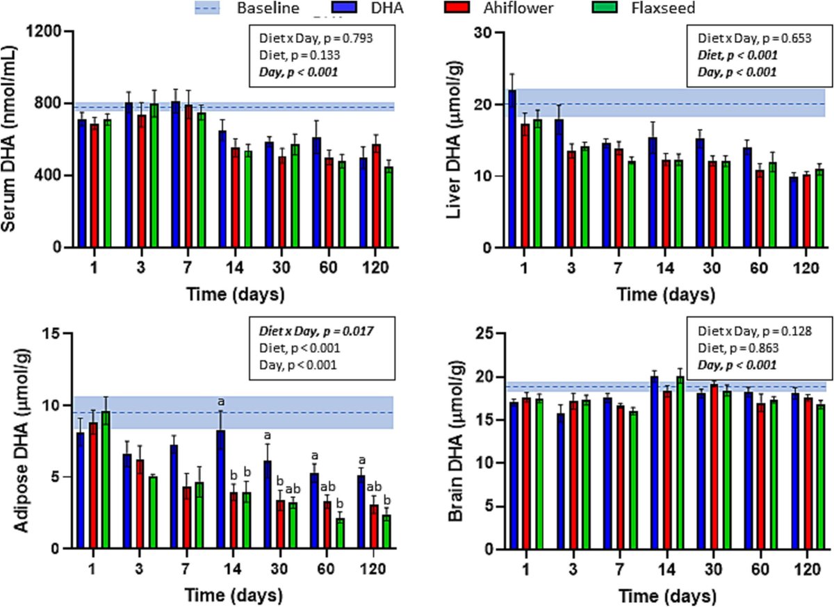 #VEGANS ‼️📢
Blood & tissue docosahexaenoic acid (DHA, 22:6n-3) turnover rates from Ahiflower® oil are not different than from DHA ethyl ester oil in a diet switch mouse model

🤩#Methods: #direct🐭#Carbon13 #Isotope

#Preclinical but compelling! Ahiflower (ALA) could support