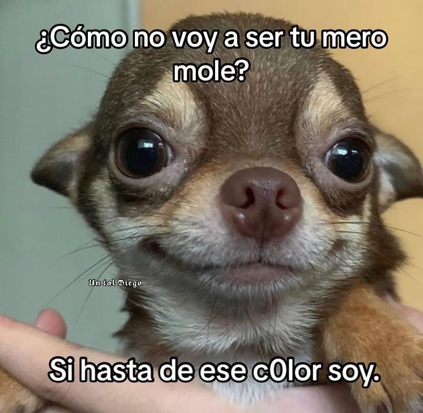 FonsecaFabila's tweet photo. @Fabila_14 El mismísimo “sacatripas” https://t.co/HNhGOpftAF