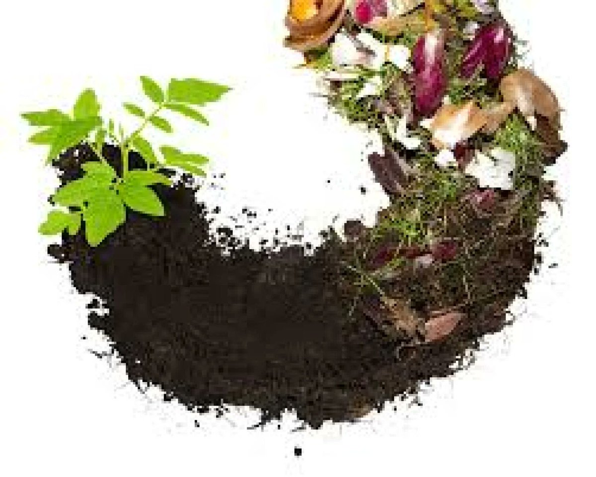 Medicinecase77's tweet photo. "🌱 Turn kitchen scraps into black gold! 🍌🥦 Composting is the ultimate eco-hack – reduce waste, enrich soil, and nurture your garden. Let's join the #CompostRevolution and make a positive impact on our planet. 🌍💚 #SustainableLiving #GoGreen #CompostMagic" https://t.co/tGKh1AnsAD