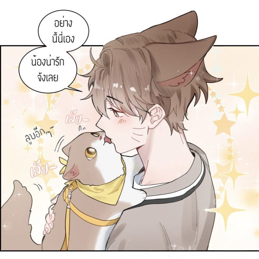 #แมวปวดฟันครับคุณหมอ #แมวปวดฟัน ถึงจะไม่อัพเลยเพราะติดเรียน+ติดงาน แต่เราไม่เคยทิ้งนะ 🥹 เป็นเรื่องแรกที่เขียนแล้วดันแมสแบบงงๆ ทั้งๆที่ตอนเริ่มคือไม่มีพล็อตอะไรเลย(กะจะเขียนเล่นเฉยๆ)จนตอนนี้ต้องมานั่งเขียนพล็อตแบบจริงจัง😂