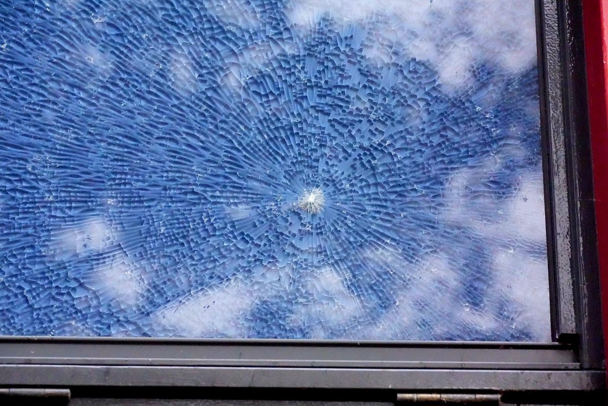GLOCALmedia112's tweet image. SCHAGEN - Inslag in woning op de Reigershof van volgens de politie mogelijk een luchtbuks Ook een moedwillig bekrast voertuig. Houden beide incidenten met elkaar verband? 
Link in de reacties 👇 

#glocalmedia #prio1 #schagen