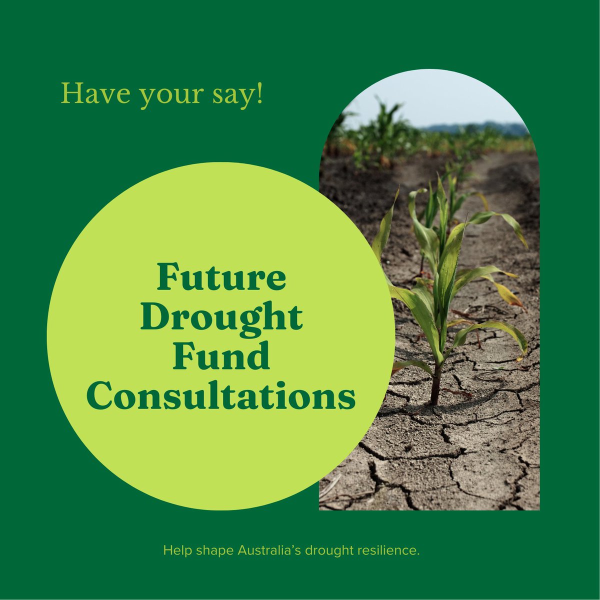 NorthernHub_au's tweet photo. Upcoming FDF Meetings in Darwin This Friday 

Don't miss your chance to influence the Future Drought Fund's strategy from 2024 to 2028. Join us in Darwin this Friday for important discussions on drought resilience funding.

Darwin Meeting Details:
Register now: 🔗 https://t.co/9GS65xPA6T

    📅 Friday 24 November 2023
    🕘 9:00am - 10:30am & 1:30pm - 3:00pm

Can't be there in person? We've got you covered! Register for our virtual sessions:

- First Nations Consultation: 27 Nov, 2:00pm AEDT 🔗https://t.co/zbywayCR1p

- General Public Consultation: 4 Dec, 2:00pm AEDT 🔗https://t.co/MDRq77IYP2

Let's collaboratively shape a drought-resilient future for Australia!