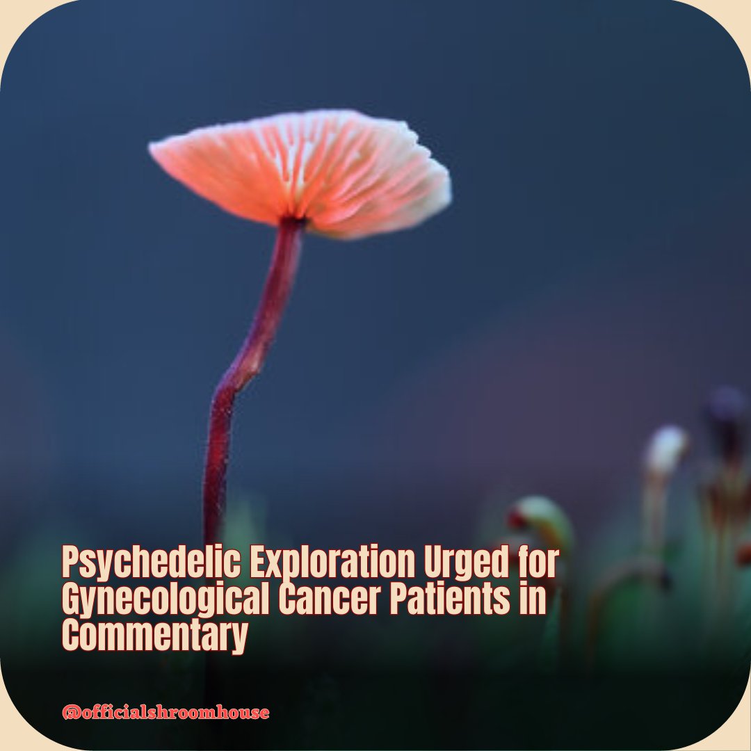 Commentary in the International Journal of Gynecological Cancer advocates exploring psilocybin and psychedelics to alleviate distress in women with late-stage gynecological cancers, citing limitations in current therapies. 🍄🩺 #Psilocybin #GynecologicalCancer #PsychedelicTherapy