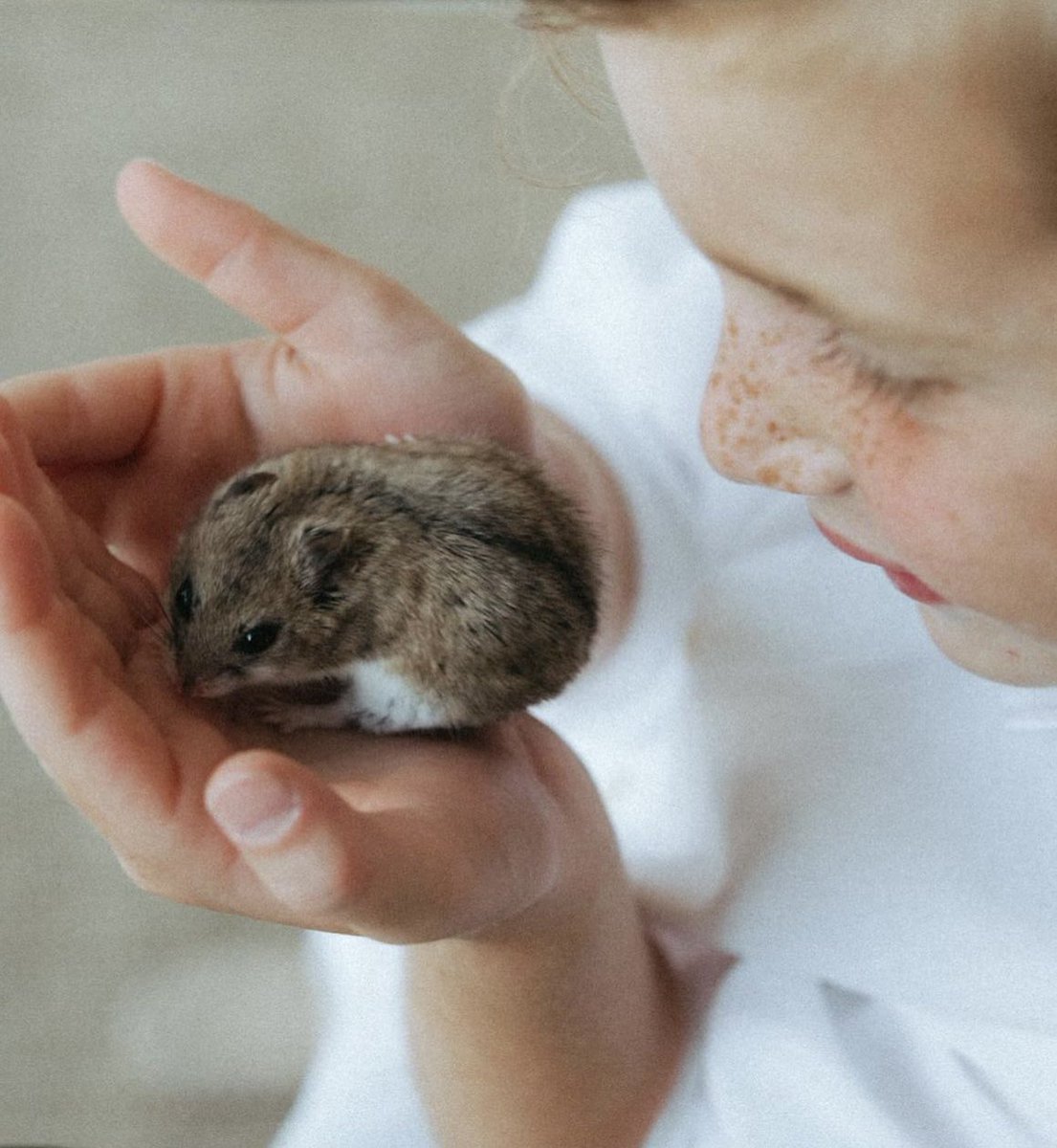 AnaMMartinezEs1's tweet image. That’s adorable! Trump’s grandkids have a little Ratatouille pet (hamster) looks like a rat @ivankatrump. Enjoy! Being a mom is a beautiful thing. #demorats🐁🐀