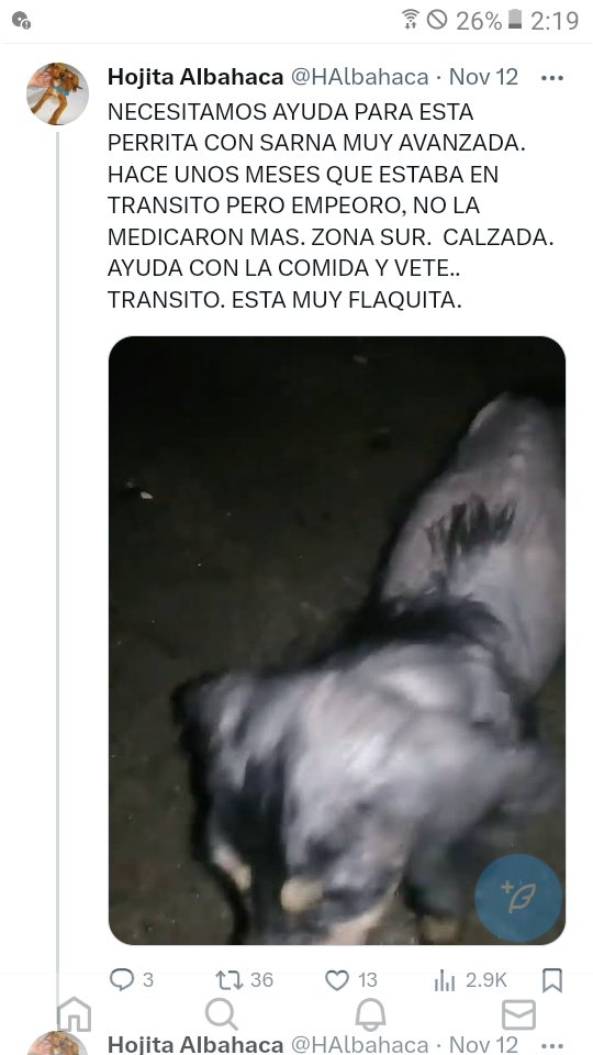GiBBalbuena tweet media