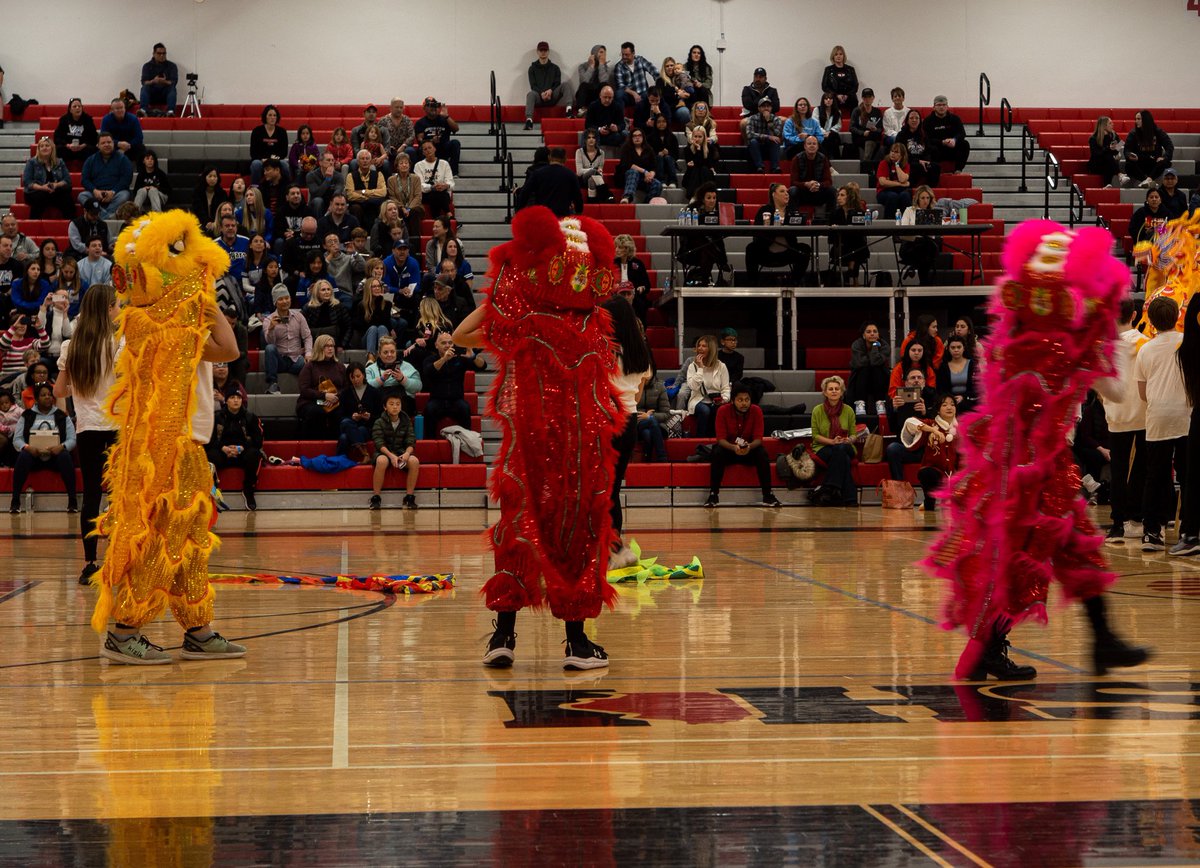 Zhang Laoshi 👩🏻‍🏫 tweet media