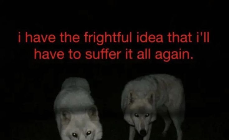 spoSIC5559acr666 (@66666ios) on Twitter photo 