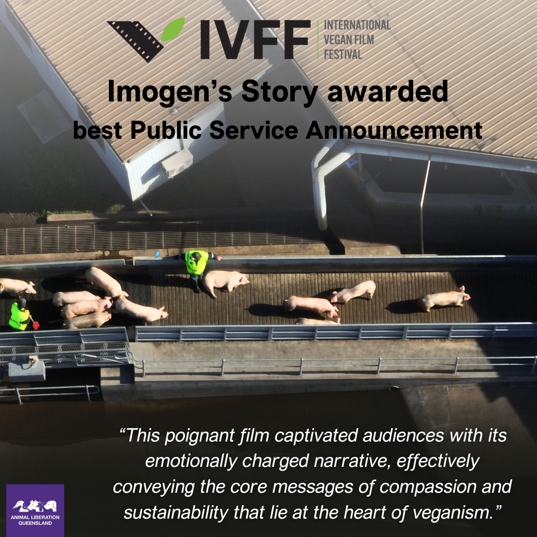 We are humbled to announce that our short film 'Imogen's Story', which we released last year, was not only featured in the International Vegan Film Festival last week but was also awarded the best Public Service Announcement by the judges.