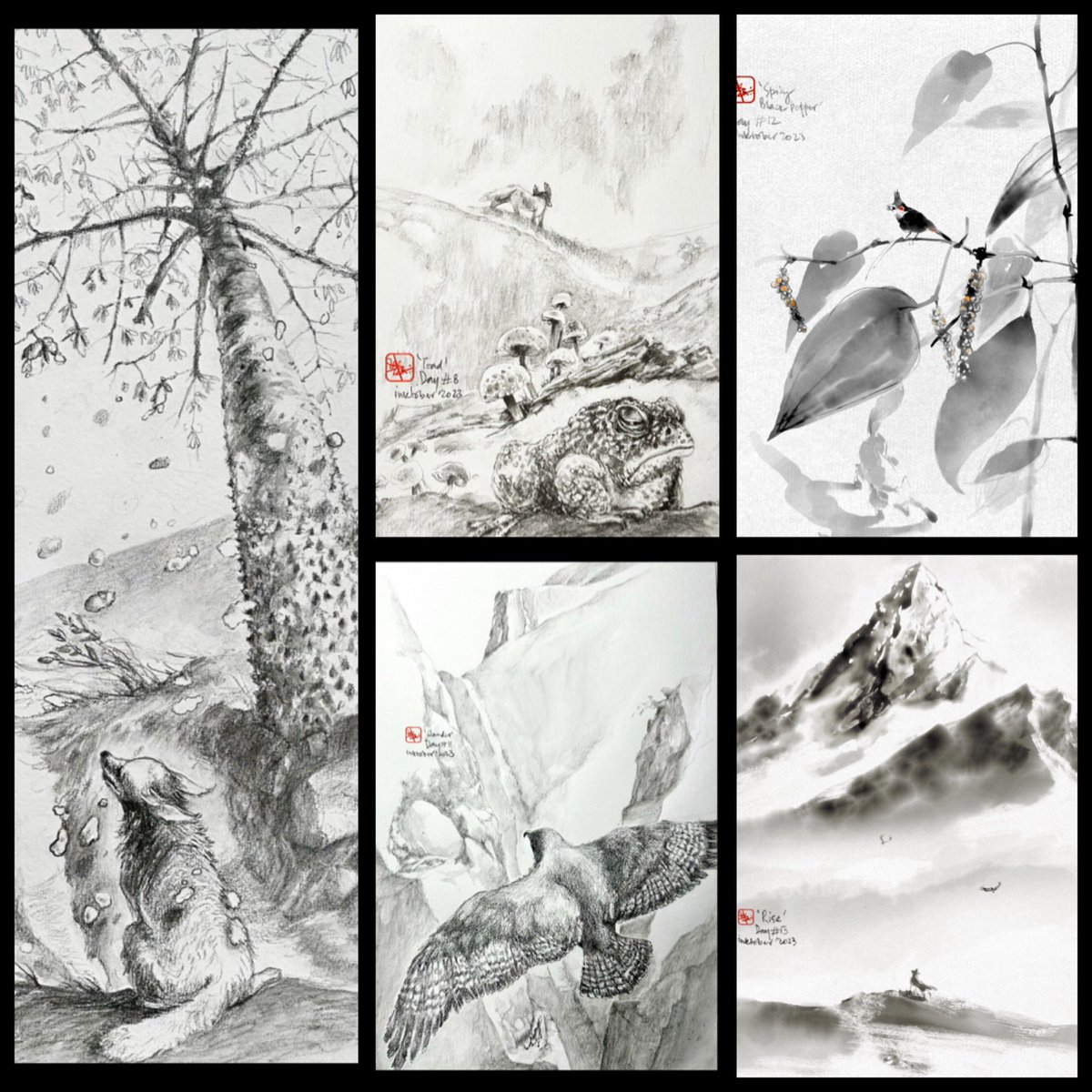 ma_katikati's tweet photo. Another collage of our #inktober2023 sketches. #illustration #illustrations #digitalillustration #illustrationartists #illustrationart #illustrationoftheday #illustrationartist #illustration_best #illustrationdaily #illustrarr  ztiongram #illustrationnow #instaillustration #dailyillustration #inkillustration #best_of_illustrations #moreillustrations #illustrationsketch