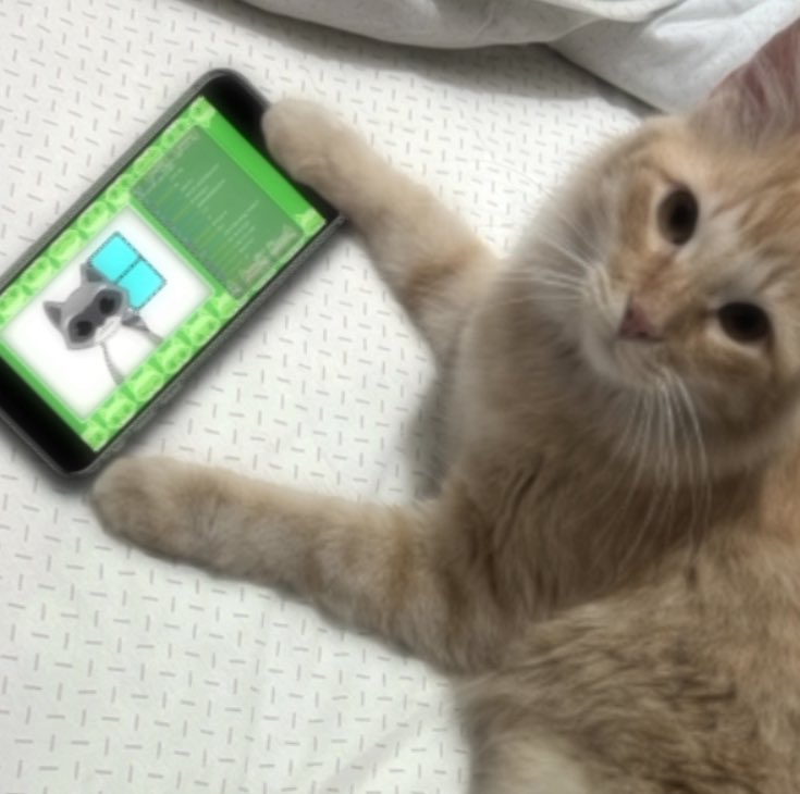 Key_jadee's tweet photo. @linkisito Me parece increíble como la sociedad deja a sus mascotas a merced, de la desinformación que hay en Twitch, Mi gato encontró un streamer que le es muy agradable, Aunque hace el subnormal cada 2x3 
Ahora díganme ¿Cómo le digo a mi gato que no puede conocer a ese mapache? https://t.co/c6uKKuwKtI