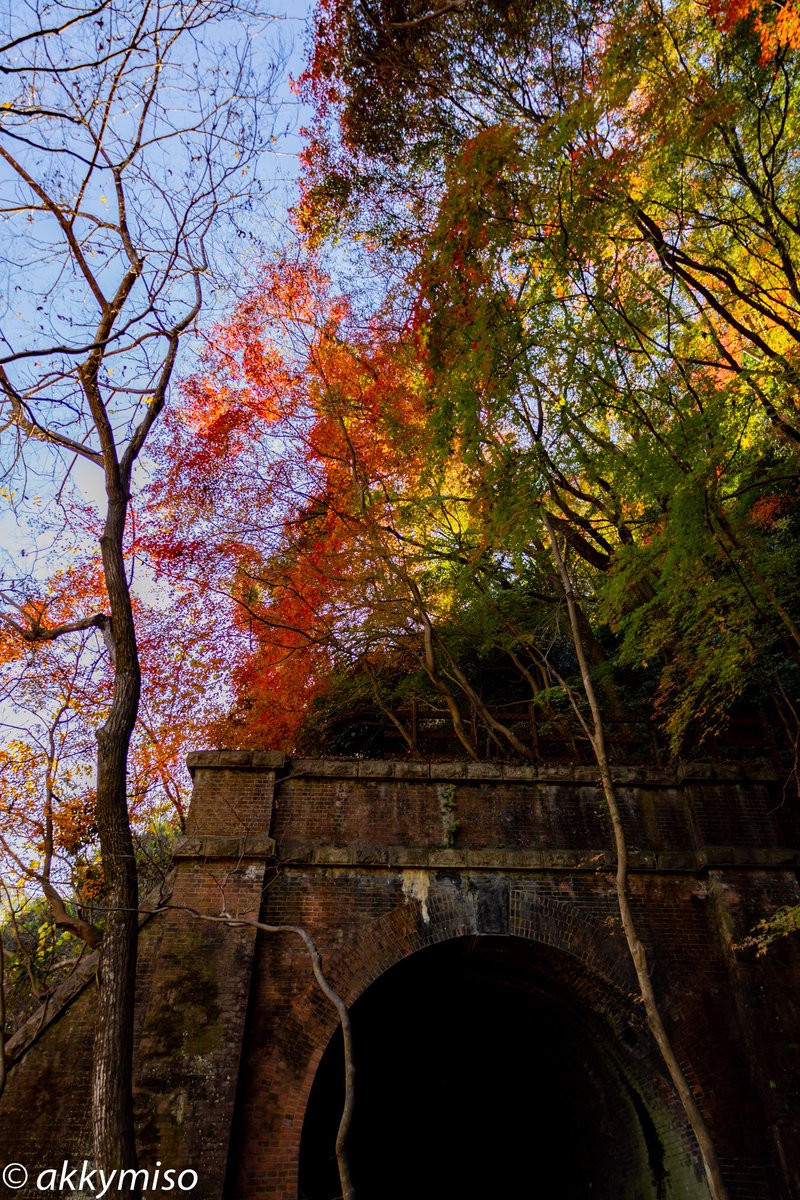愛のトンネル Aichi] Walk through the 11-story underground undersea tunnel
