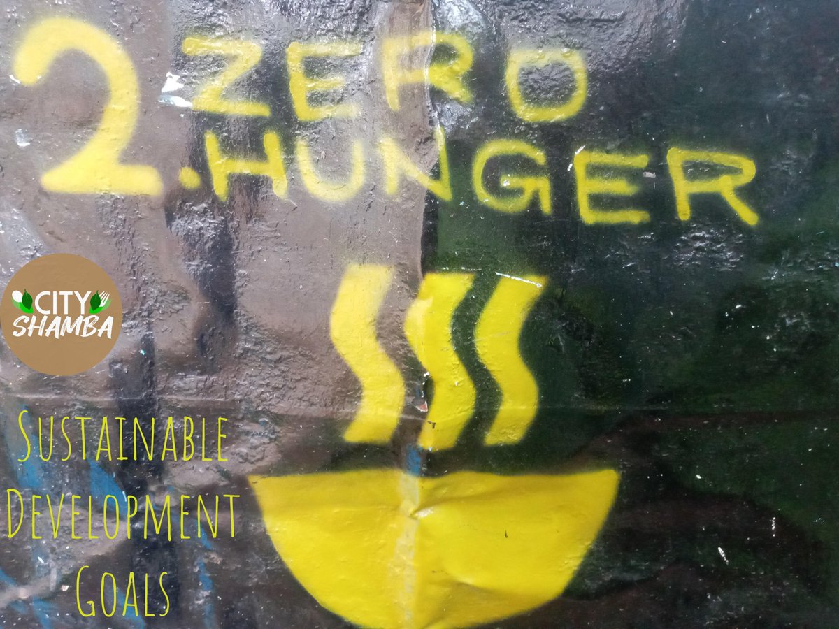MLCBO1's tweet photo. GOAL 2 
#FoodSecurity #UrbanFarming #GrowYourOwn #Zerohunger https://t.co/Sh35TASAAy