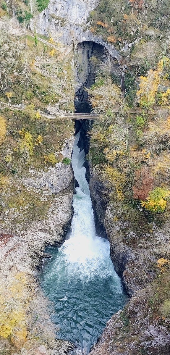 MauSbogar's tweet photo. #Timavo a San Canzian
Esce ed entra nell'abisso il fiume misterioso.
Meraviglia!!!
@DiscoverTrieste @ExploringSlo @SloveniaInfo @Ipocontro @stregapoeta @Amfortas @patrizia_fonda @ANGELACHIDDEMI @A__Martinello @marco_cimo @mariacr28250504 @MarinaRubin4 @CiriSince1978 @gmdb https://t.co/Rj4pX4EuZp