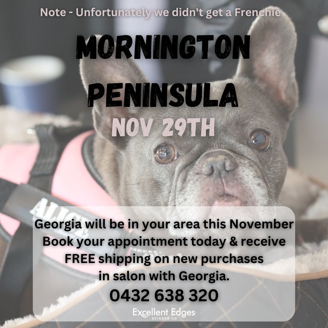 excellentedges's tweet photo. Mornington Peninsula + Surrounding areas 🛒

Georgia will be in your area November 29th!

Contact 0432 638 320 🚨 https://t.co/98JVdwxuhV