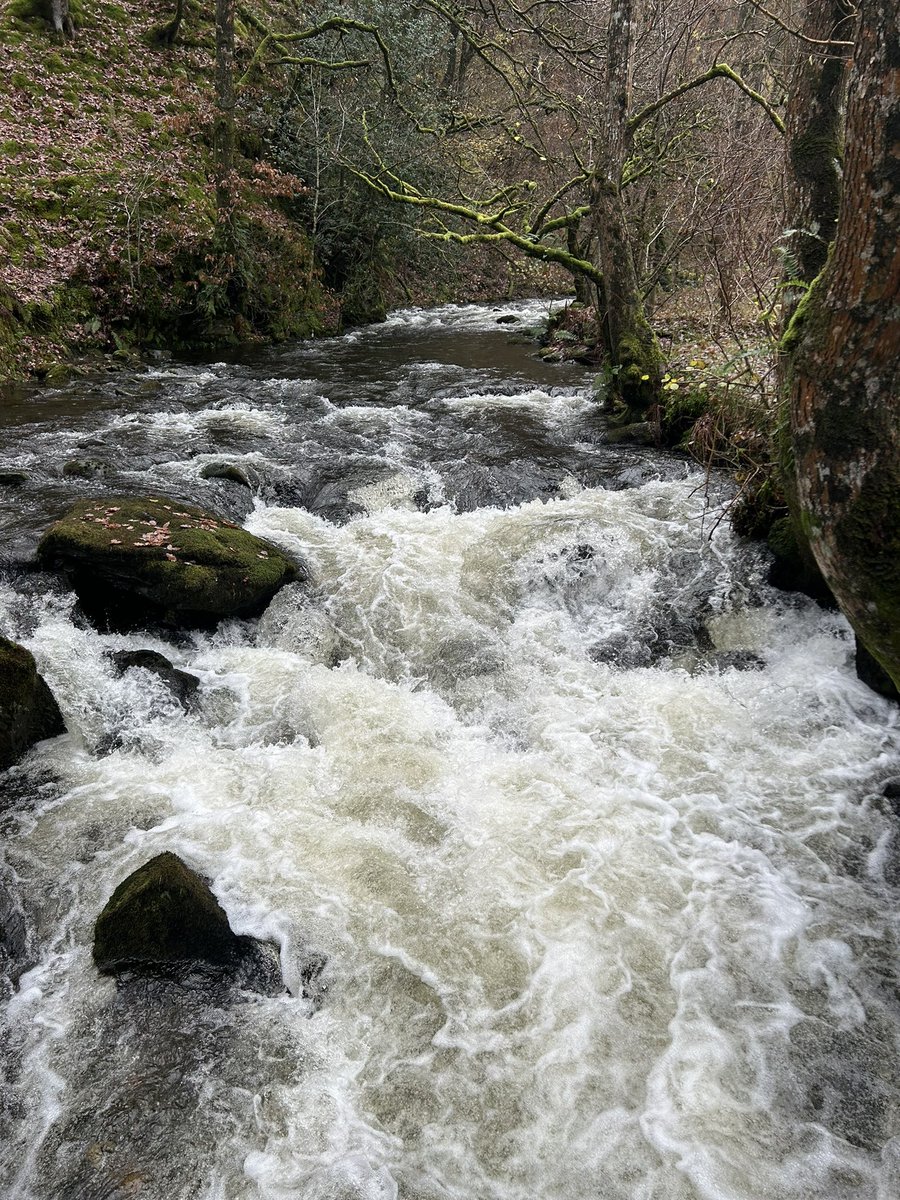 On our way to our woodland study @Hutchesons <a href="/FSCBlencathra/">FSC Blencathra</a>