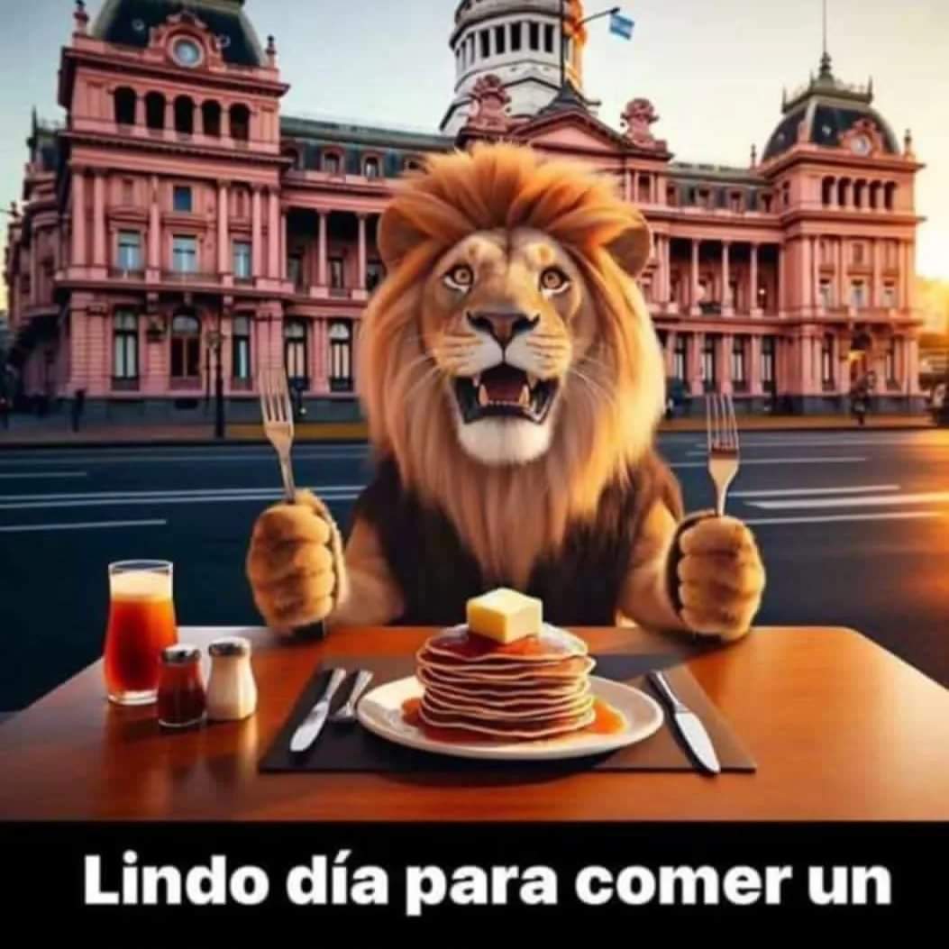 Cari19721's tweet photo. Hermosa mañana, no?! FELIZ LUNES!!! 💪💪🇦🇷❤️ https://t.co/pEA6XxsBlc