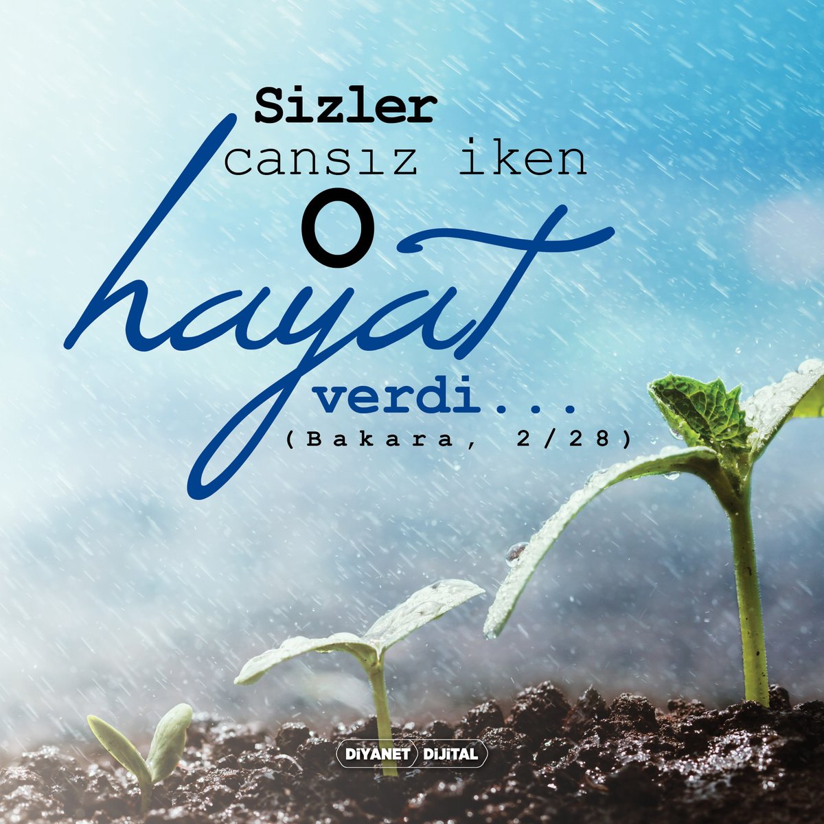 "Sizler cansız iken O hayat verdi..." (Bakara, 2/28)

#DiyanetDijital