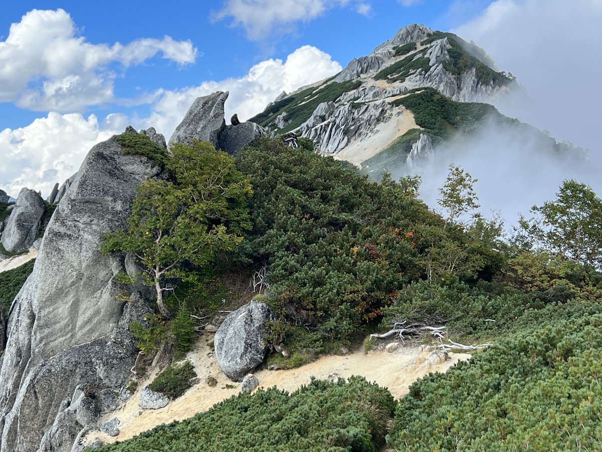 Ready for our next big adventure? Join 40tude’s Ginza Ridge Challenge in Japan! Be part of our unique challenge in the #NorthernJapaneseAlps, one of Japan's best-kept secrets. Register your interest now in joining our 2024 team tribaltracks.co.uk/your-trip/40tu… #fundcoloncancerresearch