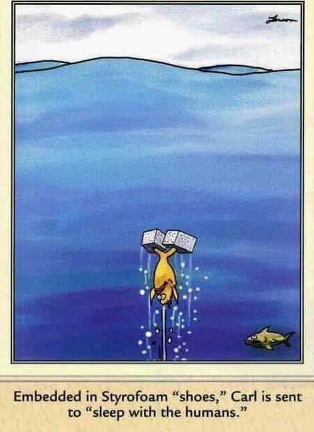 Gary Larson, man. The compression of a perfect idea like this is so delightful. And to have that idea, to phrase it so exactly, to draw it so beautifully, and still have the delicacy to call the fish Carl. Larson is the king of those suburban names- Carl, Warren, Murray.