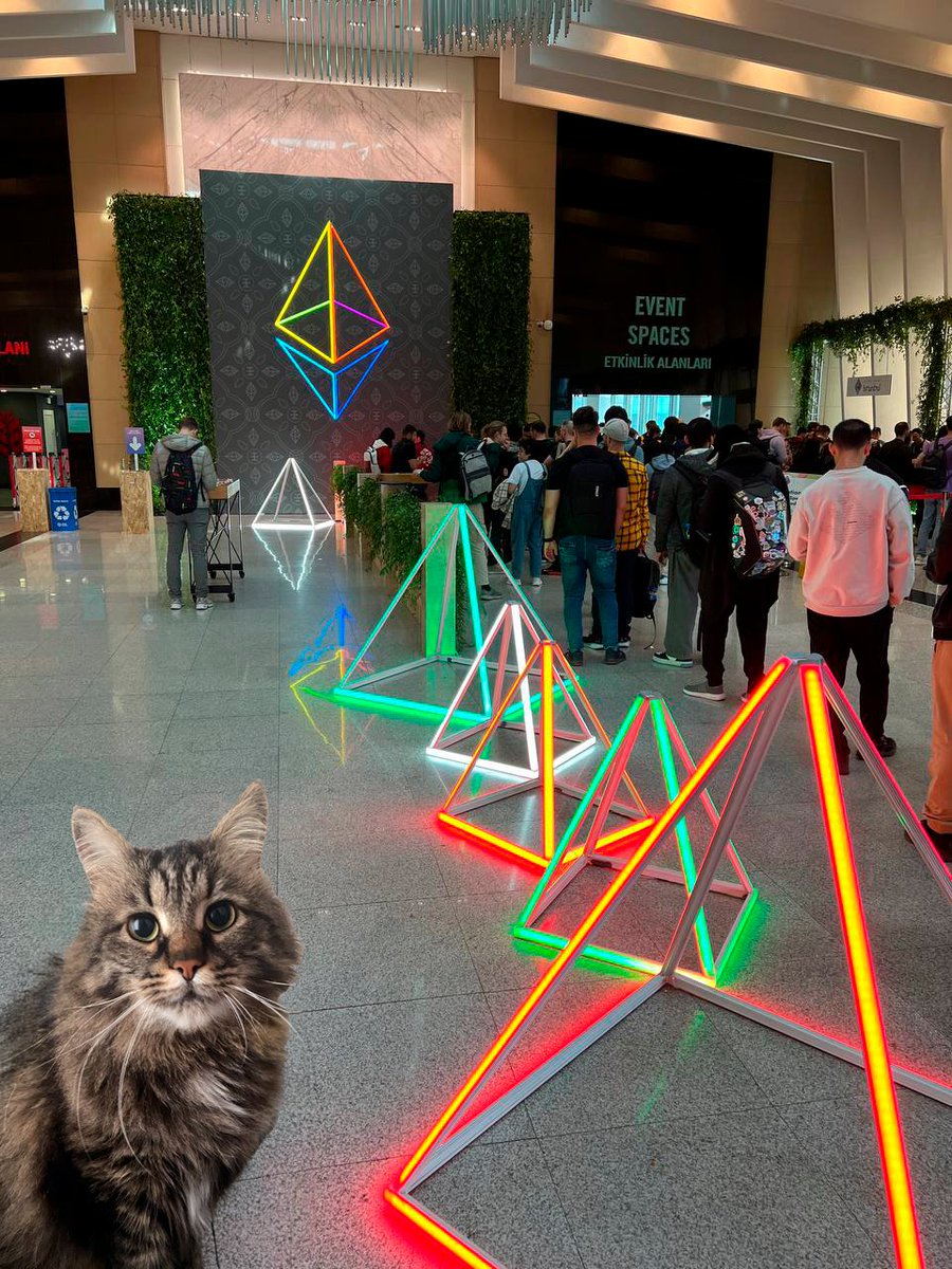 Meow no MEV tweet media