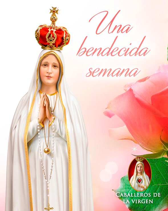 Cab_Virgen's tweet photo. ¡Una santa y bendecida semana en compañía de María Santísima! https://t.co/pwmwoHjJAC