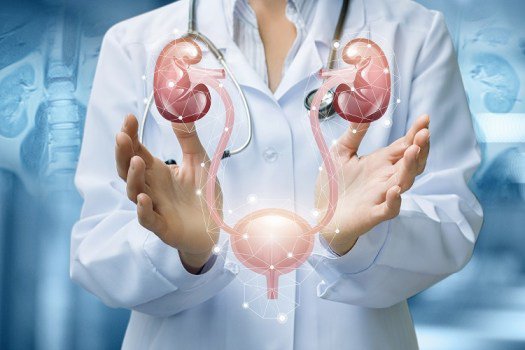 Looking for the best urologist in bangalore then book an online appointment on credihealth for the best doctor in the city. #Nephrology #nephrologist #Bangalore 
credihealth.com/doctors/bangal…