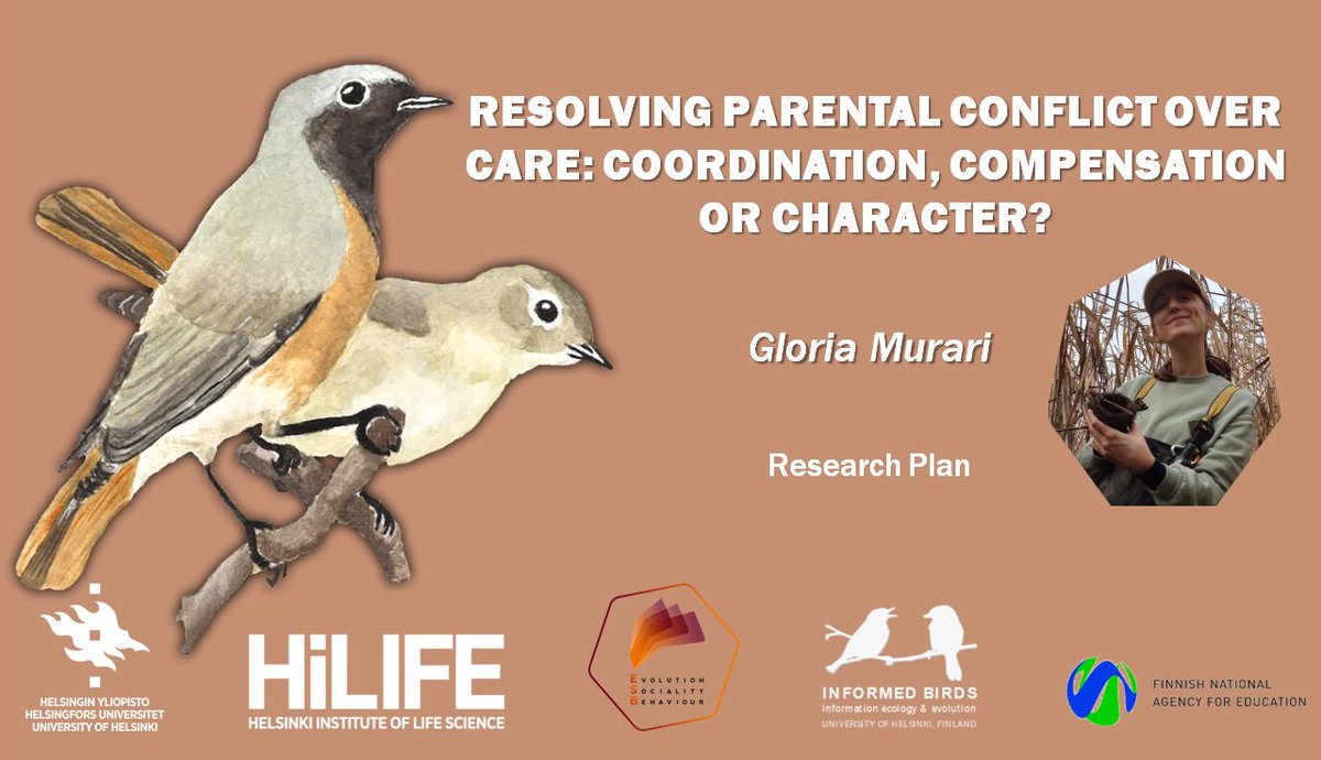 Gloria Murari tweet media