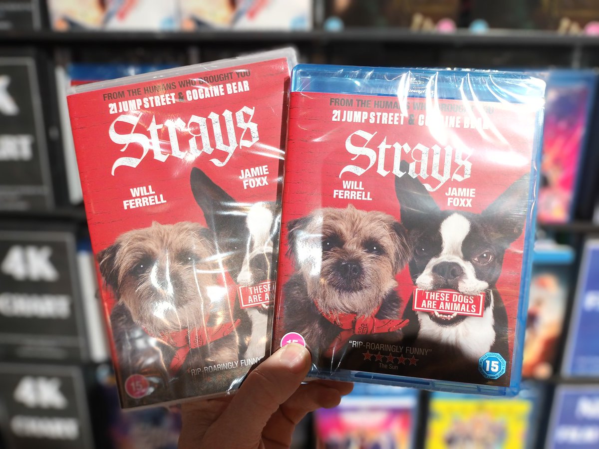 hmvBelfast's tweet image. #NewReleaseMonday
Some great titles out today
#Nun2 #TMNT #MutantMayhem #Strays #StarTrek #Picard