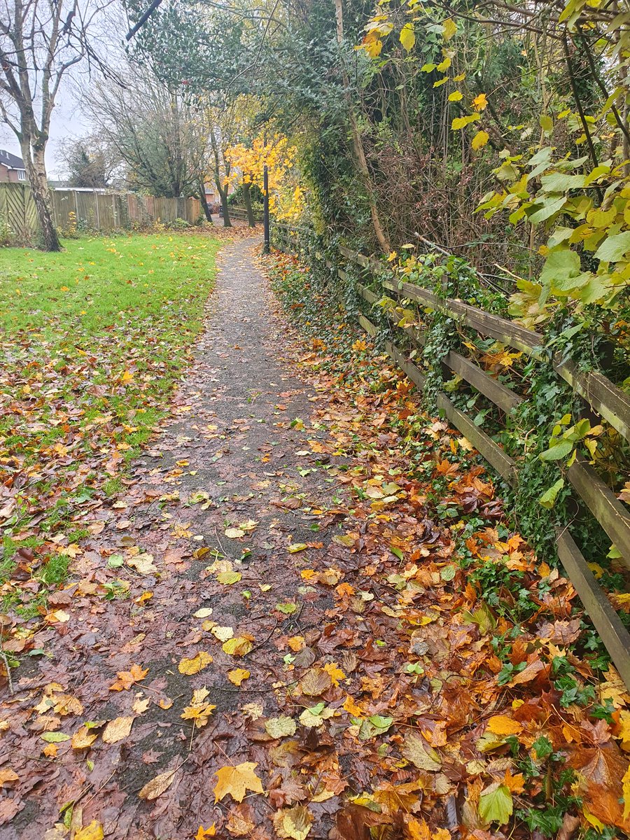 Cllr. Maxwell Green tweet media