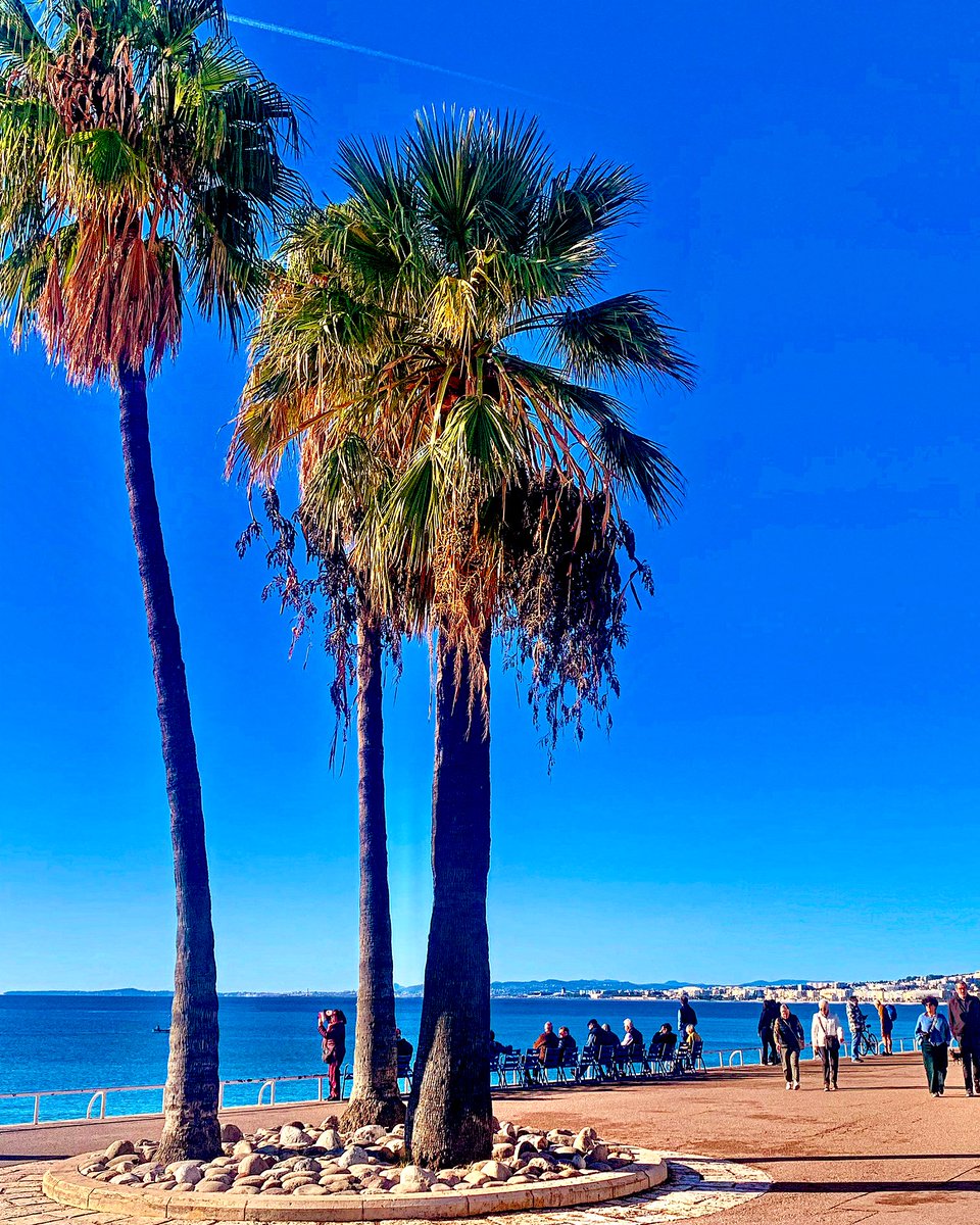Un lundi 29 novembre à Nice 💙☀️

#villedenice #PhotoduJour  #nicemaville  #Mediterraneenne