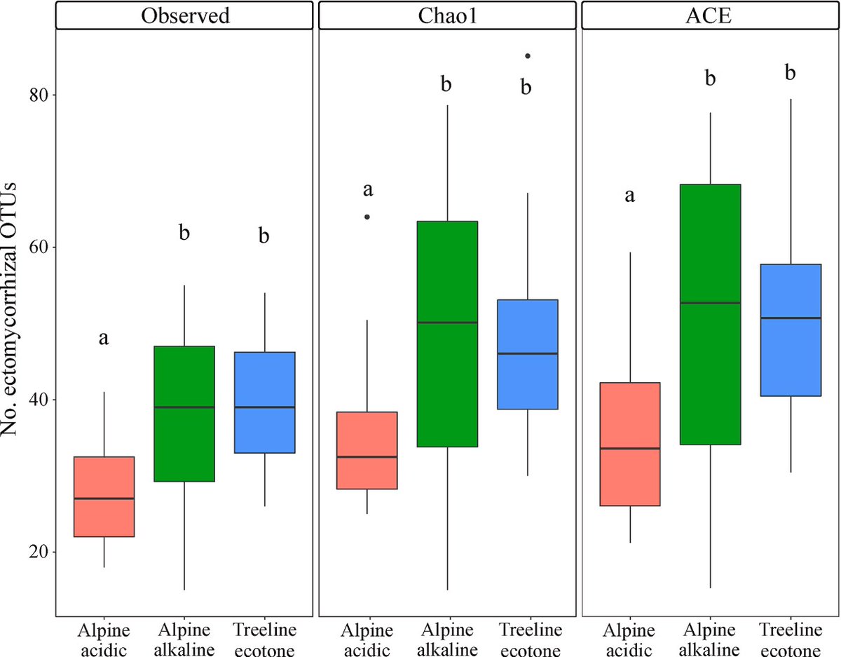 myco_RAC's tweet photo. Now online! Climatic shifts threaten alpine mycorrhizal communities above the treeline.
#soil #mycorrhiza #biodiversity #climatechange 

Link: https://t.co/6Fsl1GpJKD
#FungalEcology @BMS_Scientific
With:
@KewScience @KewMycology @imperialcollege @WSL_research #uniinsbruck #gozdis https://t.co/XqERDBNhD8