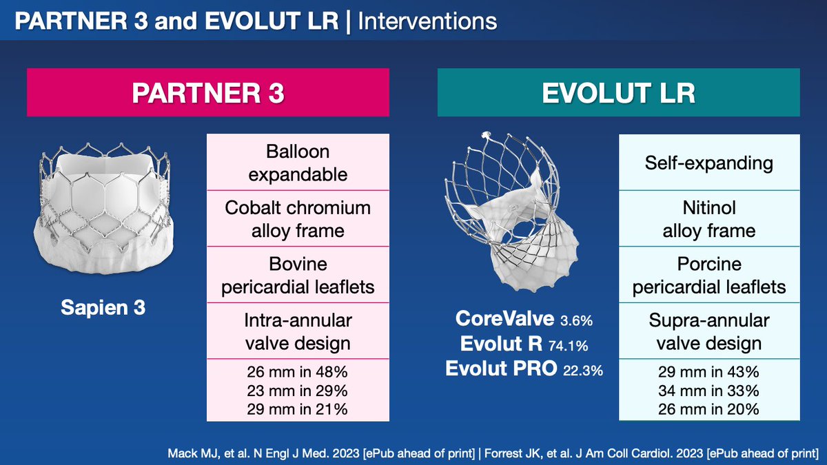 Davide Capodanno tweet media