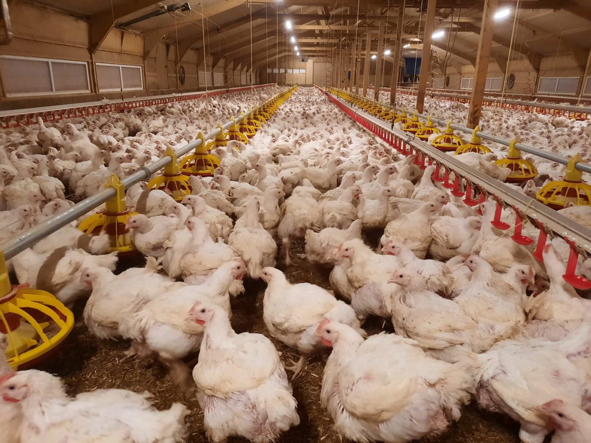 LA Systems tweet media