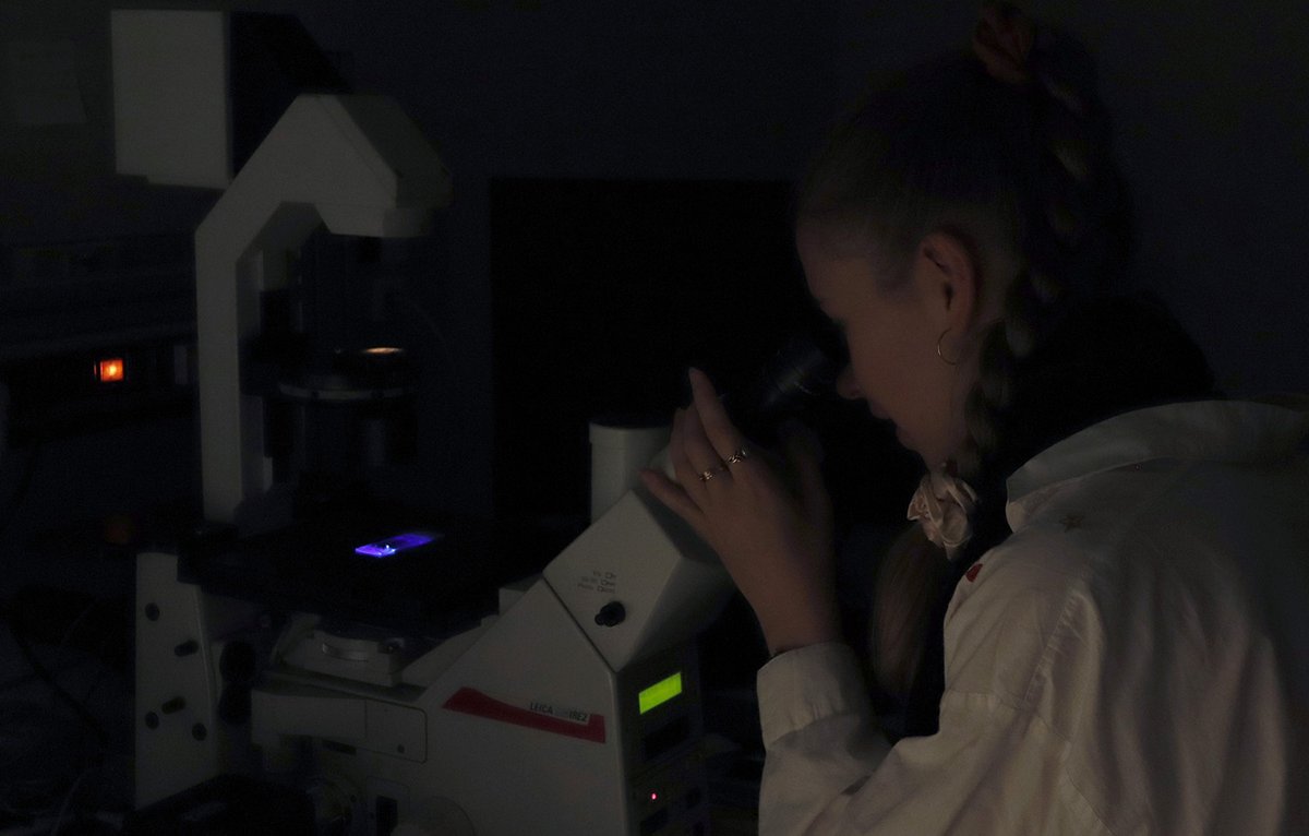 👩‍🎓 Last week, <a href="/unistra/">-</a>'s science mediation students interviewed IGBMC #scientist Adèle de Arcangelis on her #research: intestinal #organoids. 👩‍🔬 They saw organoid production and analysis. 

Stay tuned for their article!

🔗 About Adèle de Arcangelis: tinyurl.com/2c3b5tzu