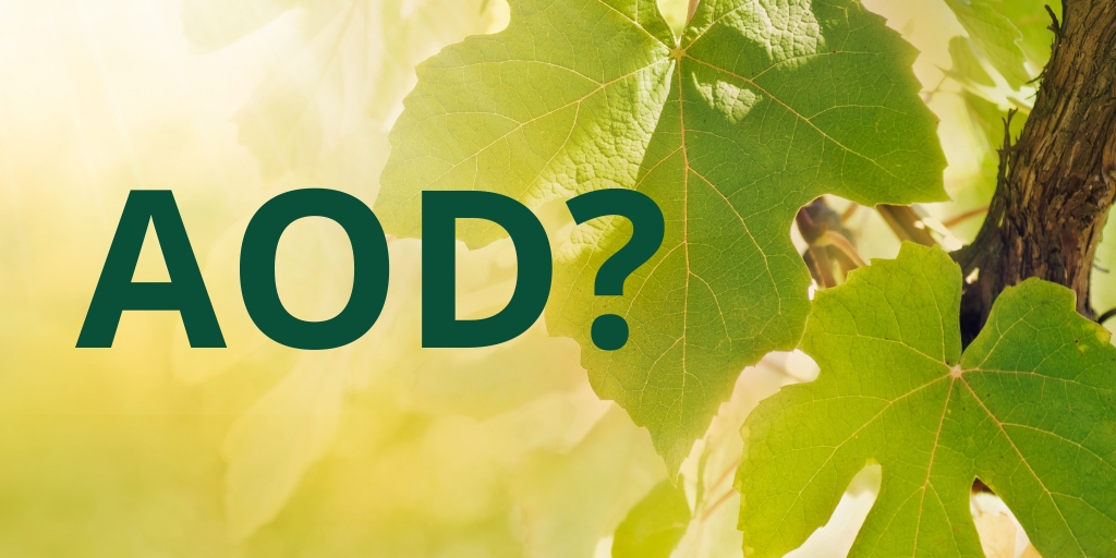 jurisvin's tweet photo. 🤔 A LIRE ! Un jour, l'AOD ? Prospective sur l'Appellation d'Origine viticole Durable, fusion de l'origine et de l'environnement..
✍️ Scénario argumenté par Ronan #RAFFRAY sur OPENWINELAW
👀 https://t.co/T0qt4Umqom https://t.co/x8R0wF31nA