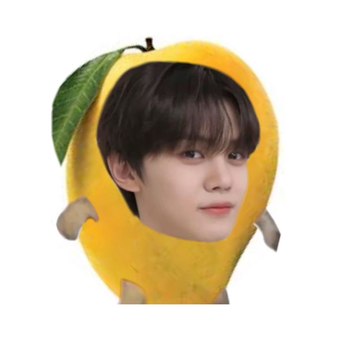shimkonqz's tweet photo. spot the difference https://t.co/SfiK0Q52c0
